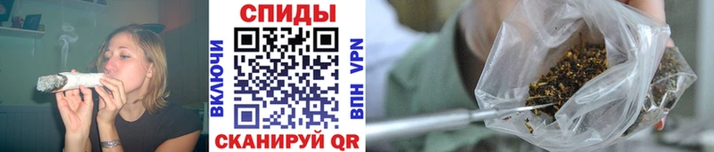 Купить где  Павлово  Бутират BDO 33% 