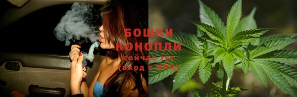 не бодяженный Бородино