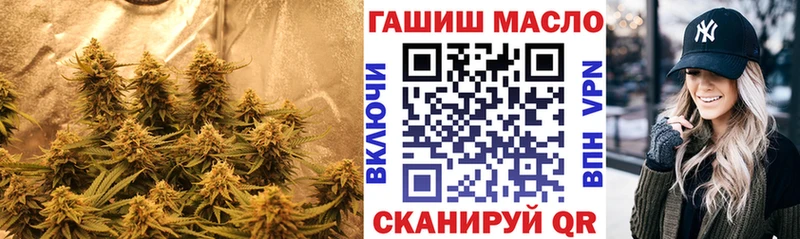 Купить где  Павлово  Дистиллят ТГК вейп 