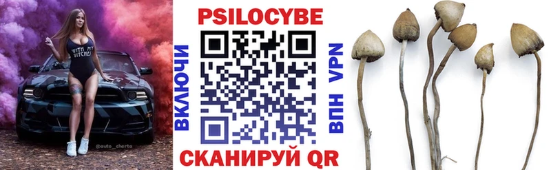 Галлюциногенные грибы MAGIC MUSHROOMS  Купить где  Павлово 